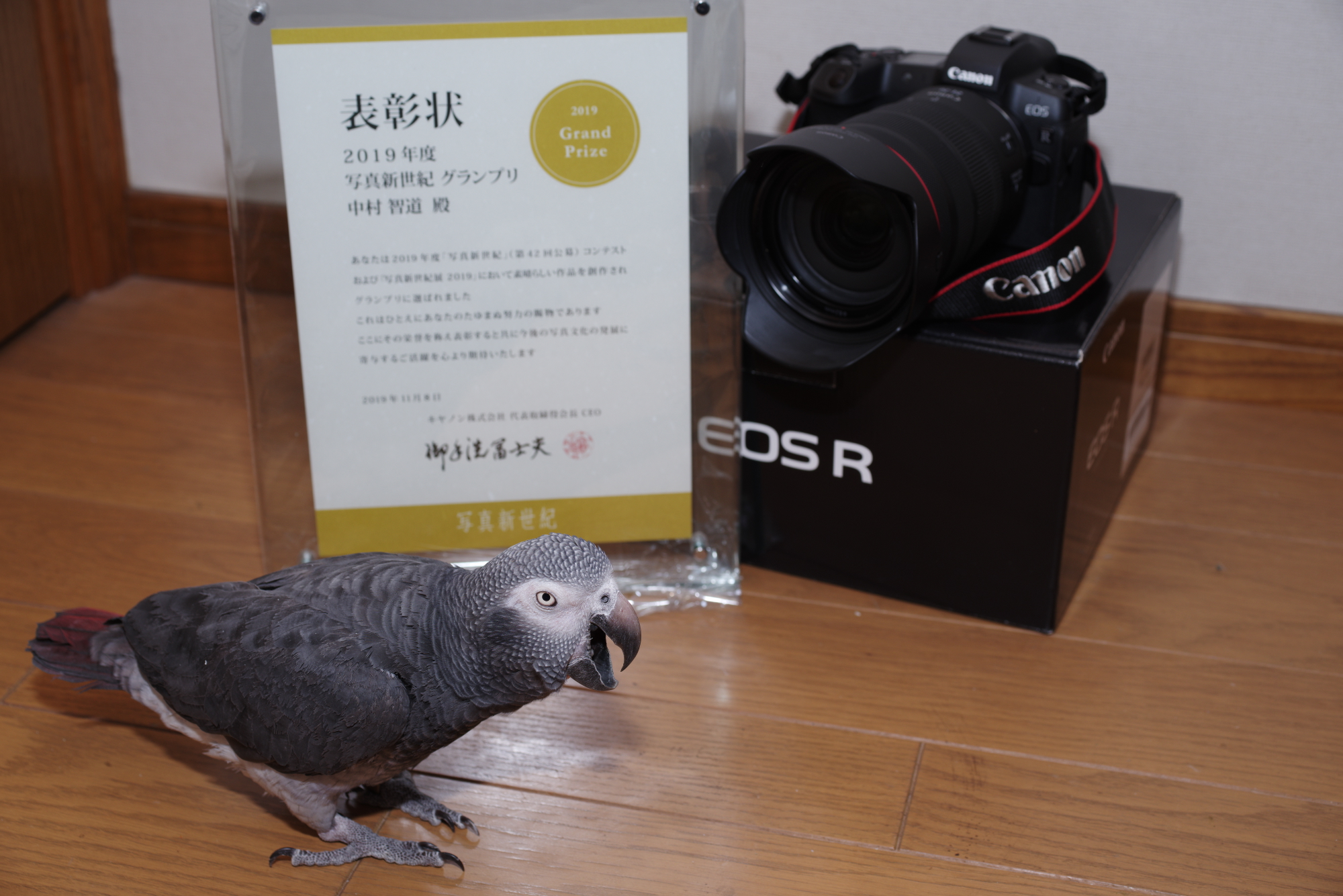 EOS R と RF24-70mm F2.8 L IS USM 来ました！ 他、カレー等